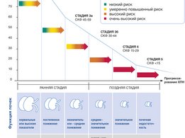 5 стадий ХПН и соответствующие симптомы
