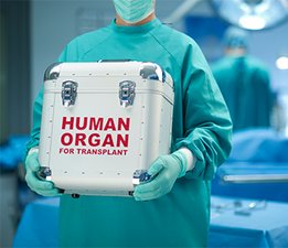 Медсестра держит бокс с органом